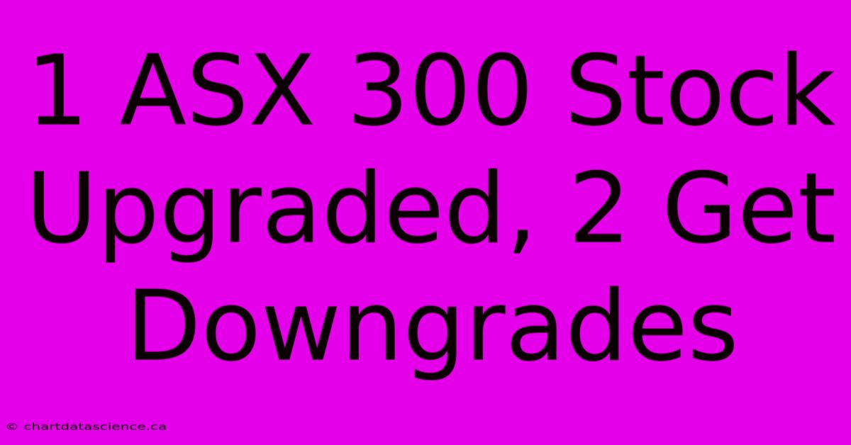 1 ASX 300 Stock Upgraded, 2 Get Downgrades