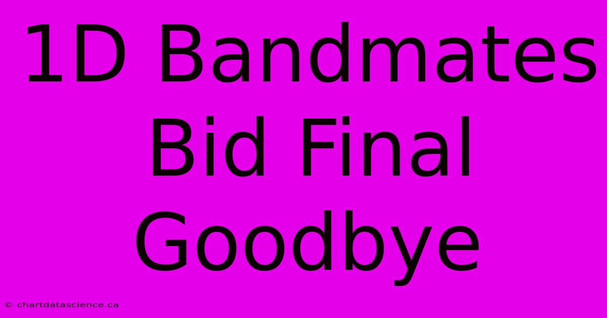 1D Bandmates Bid Final Goodbye