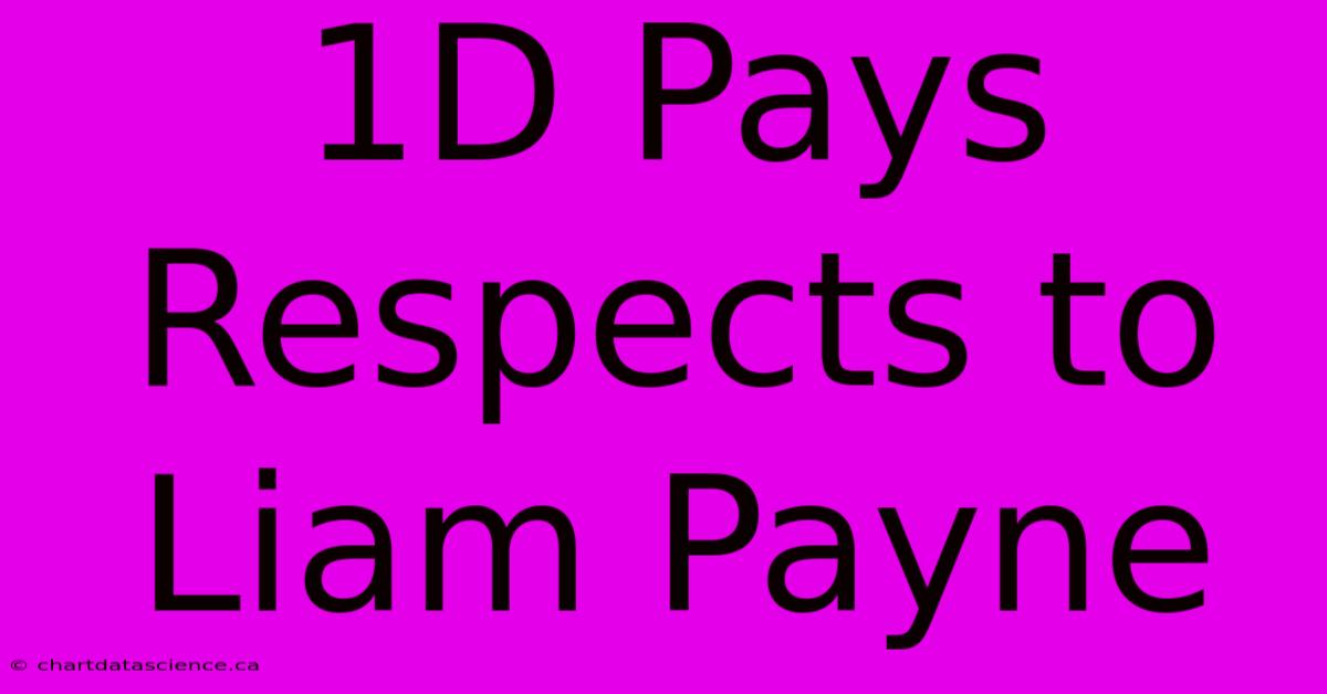 1D Pays Respects To Liam Payne