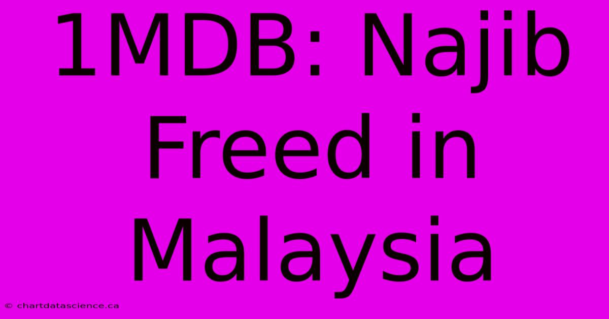 1MDB: Najib Freed In Malaysia