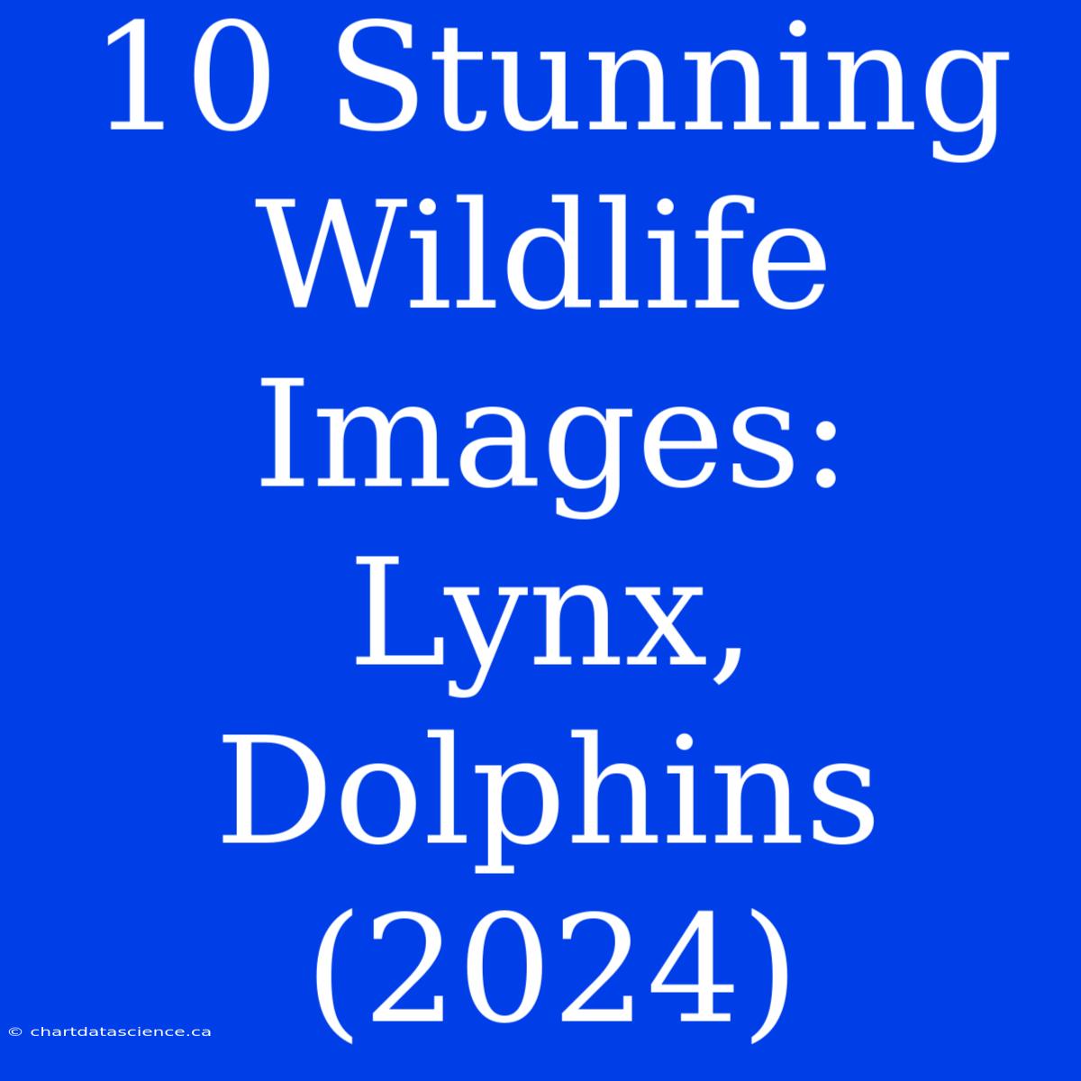 10 Stunning Wildlife Images: Lynx, Dolphins (2024)