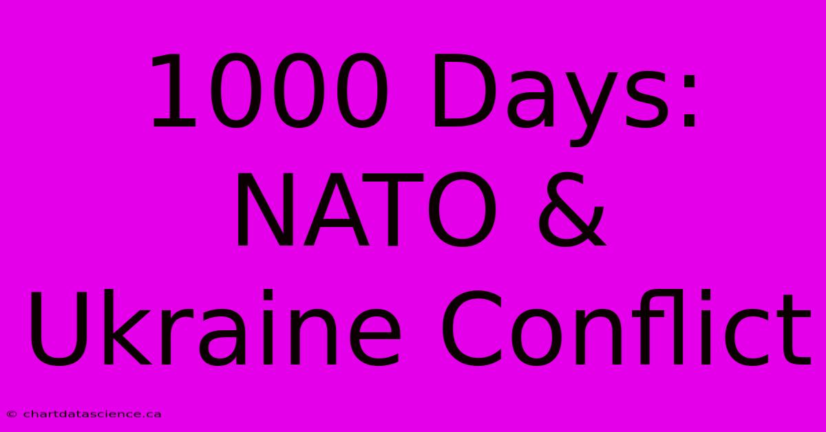 1000 Days:  NATO & Ukraine Conflict