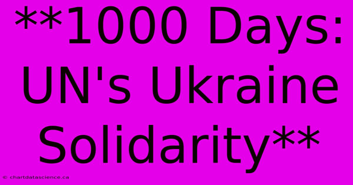 **1000 Days: UN's Ukraine Solidarity**