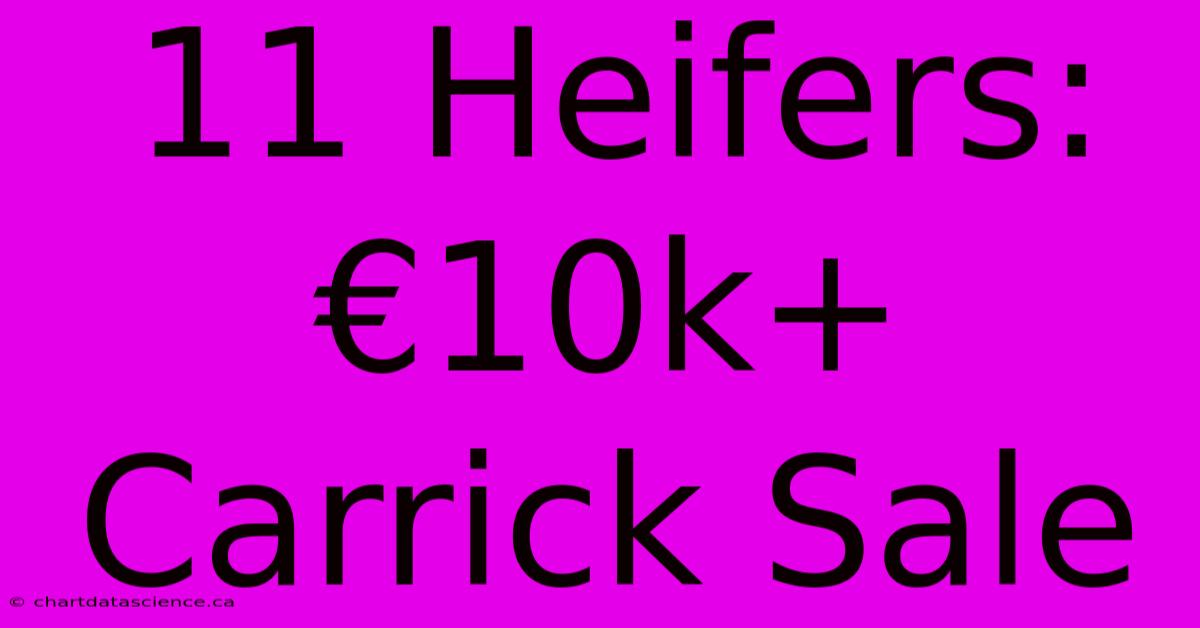 11 Heifers: €10k+ Carrick Sale