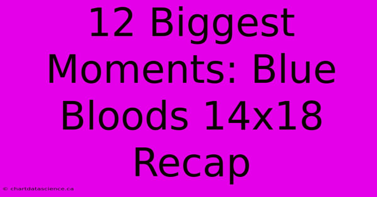 12 Biggest Moments: Blue Bloods 14x18 Recap