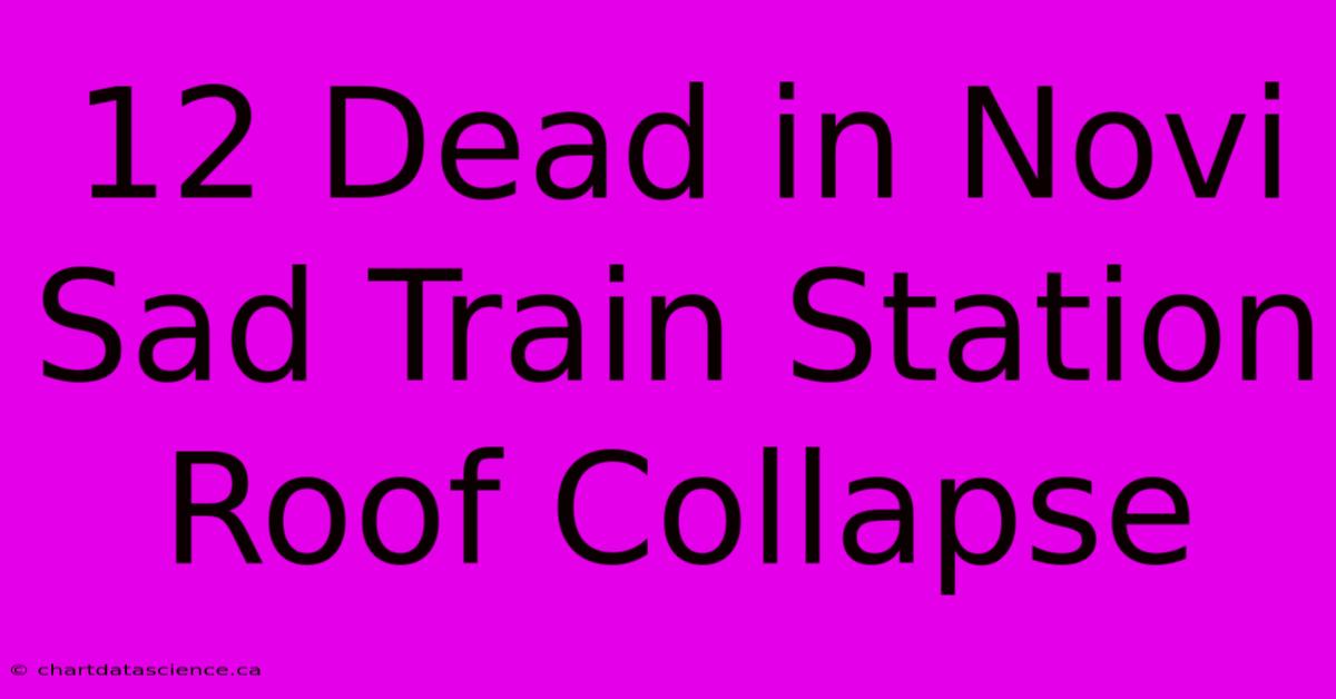 12 Dead In Novi Sad Train Station Roof Collapse