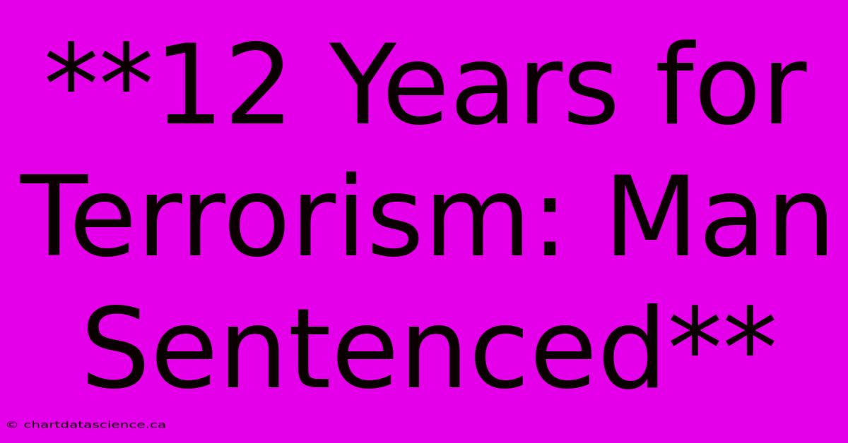 **12 Years For Terrorism: Man Sentenced**