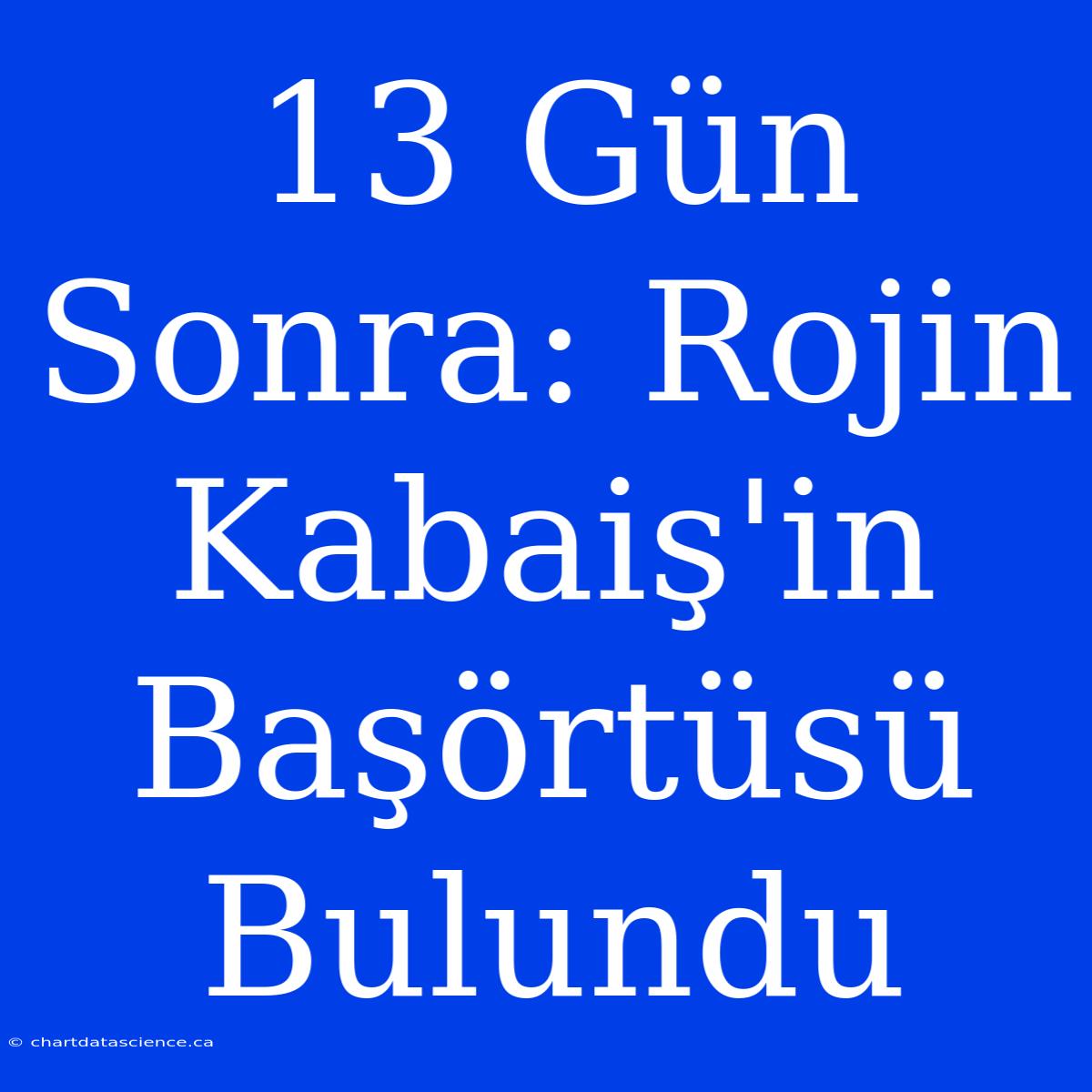 13 Gün Sonra: Rojin Kabaiş'in Başörtüsü Bulundu