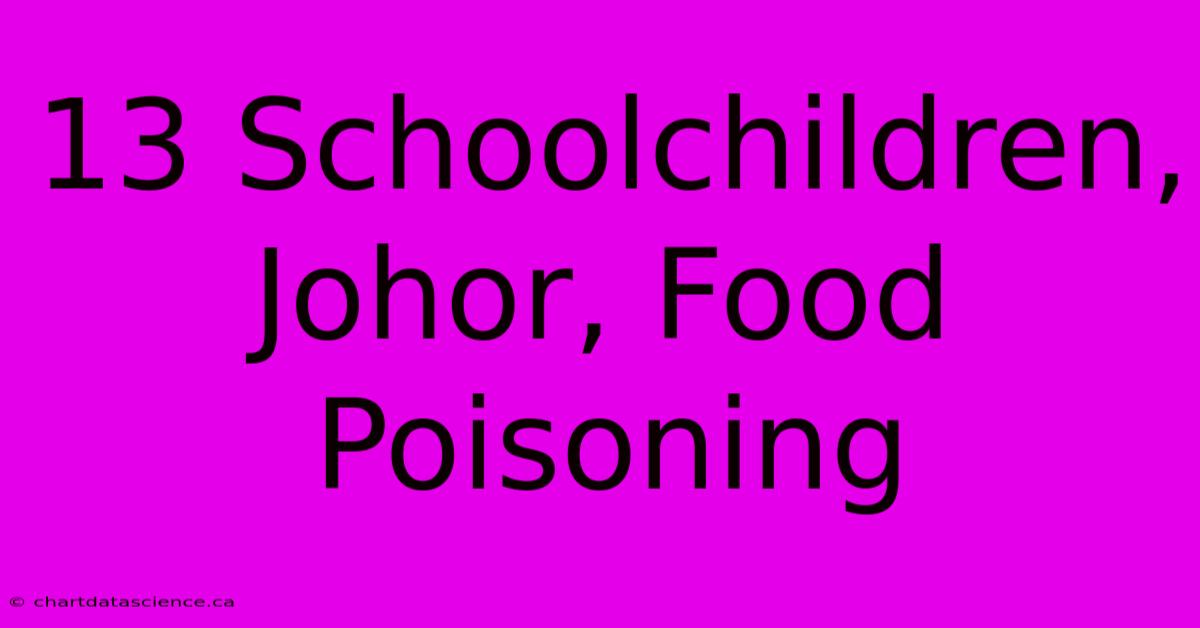 13 Schoolchildren, Johor, Food Poisoning