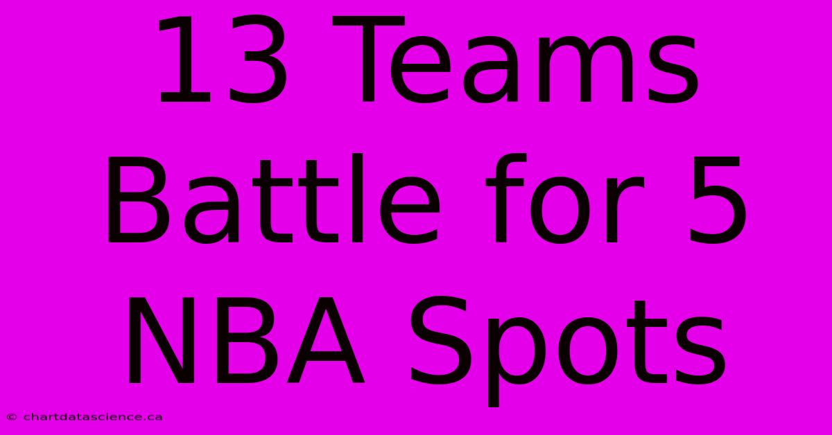 13 Teams Battle For 5 NBA Spots