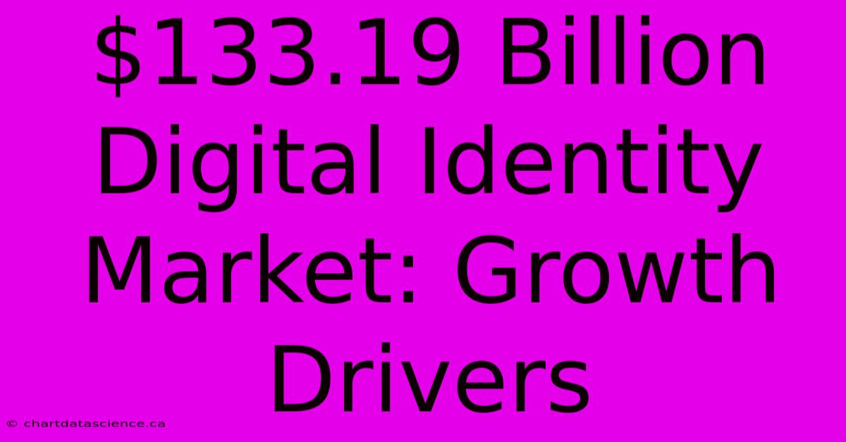 $133.19 Billion Digital Identity Market: Growth Drivers 