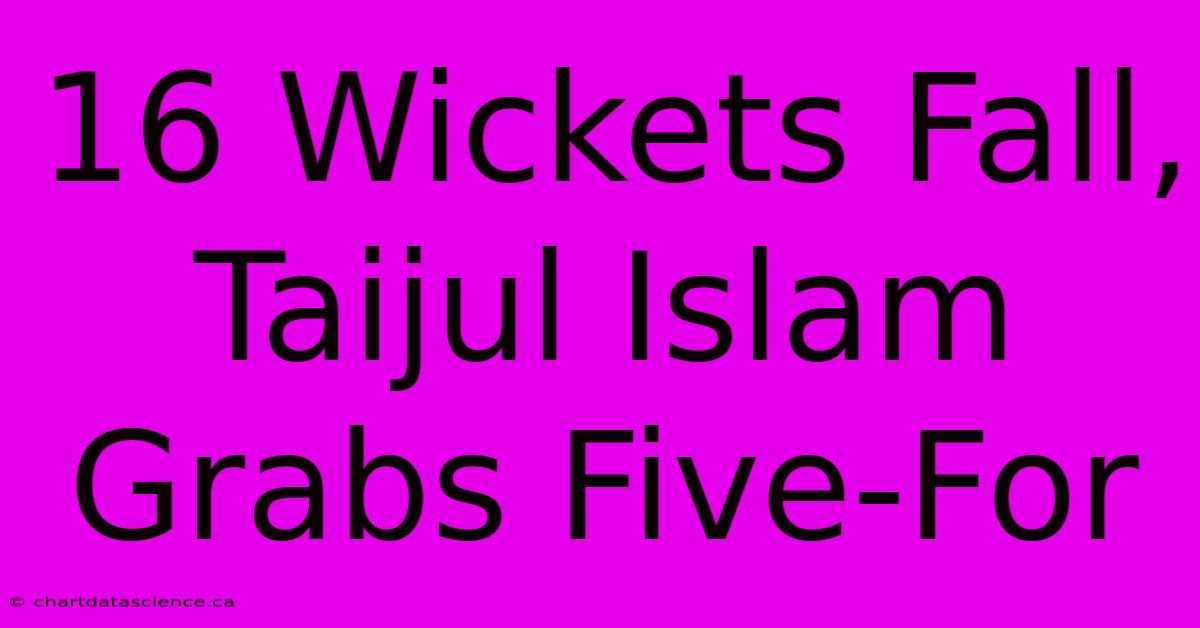 16 Wickets Fall, Taijul Islam Grabs Five-For