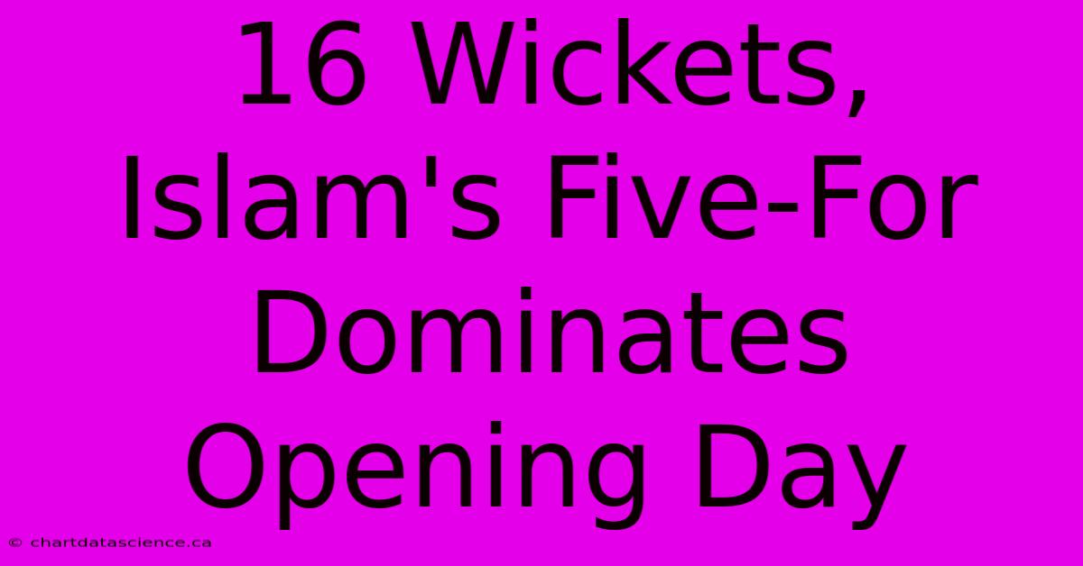 16 Wickets, Islam's Five-For Dominates Opening Day