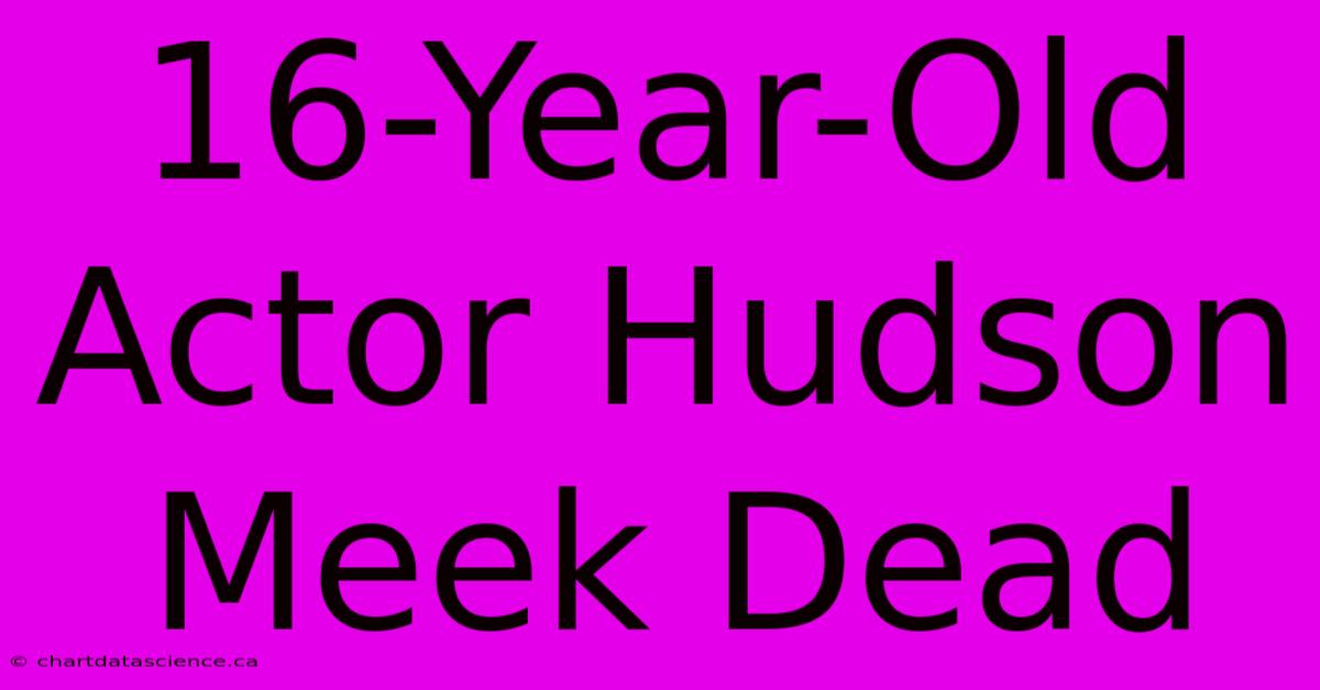 16-Year-Old Actor Hudson Meek Dead