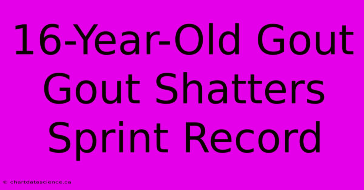 16-Year-Old Gout Gout Shatters Sprint Record