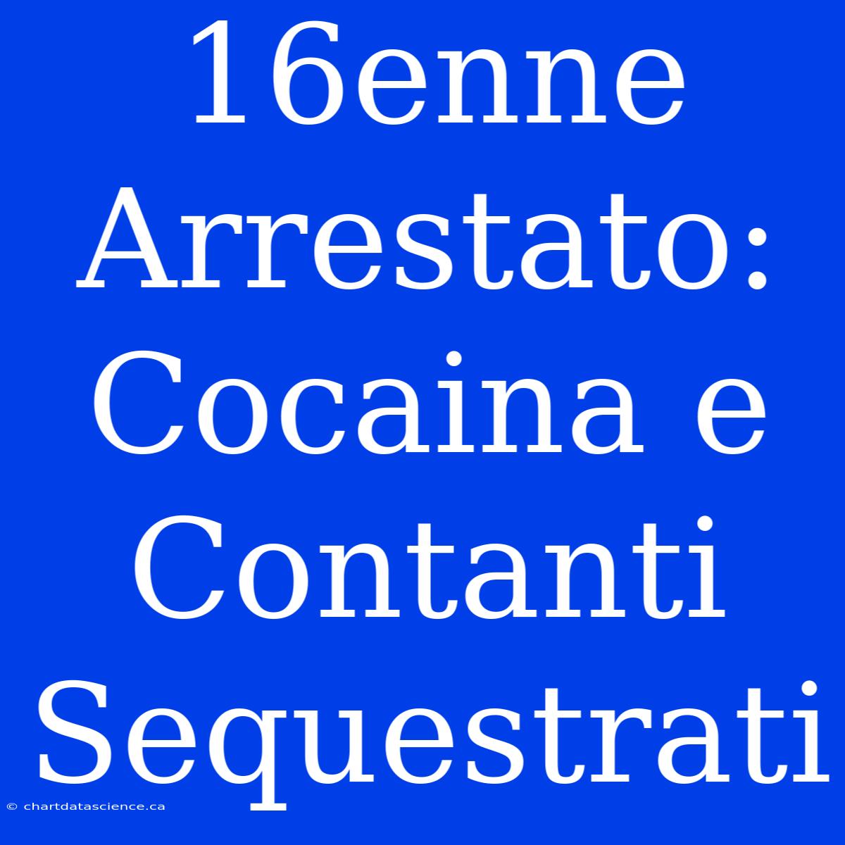 16enne Arrestato: Cocaina E Contanti Sequestrati