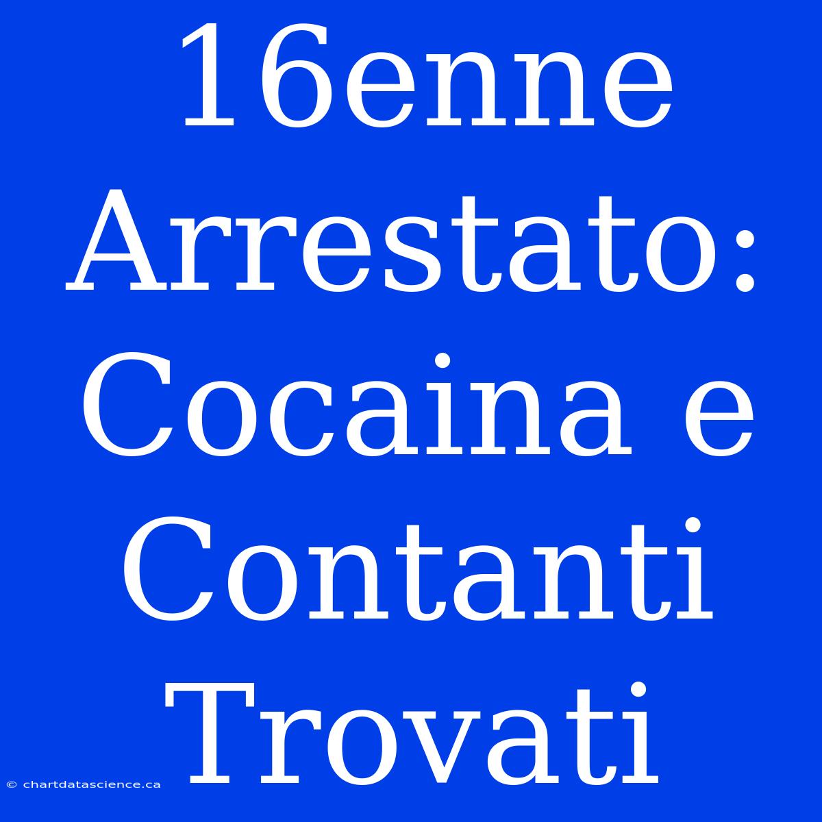 16enne Arrestato: Cocaina E Contanti Trovati