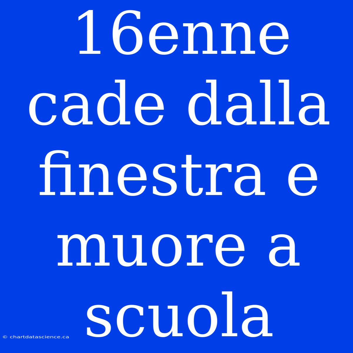 16enne Cade Dalla Finestra E Muore A Scuola