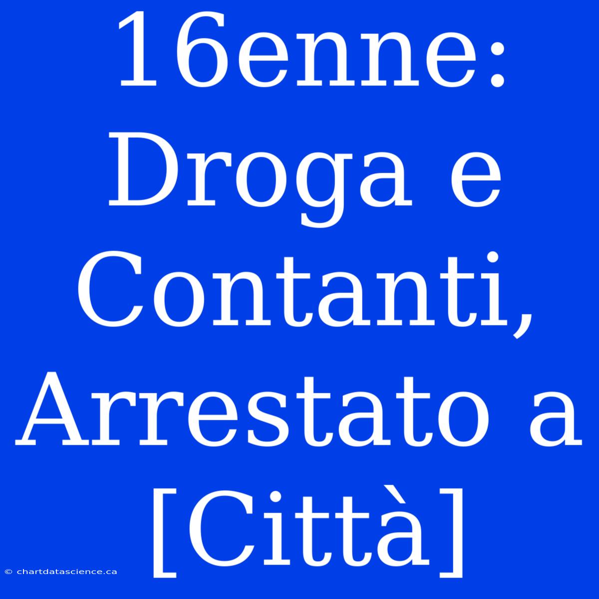 16enne: Droga E Contanti, Arrestato A [Città]