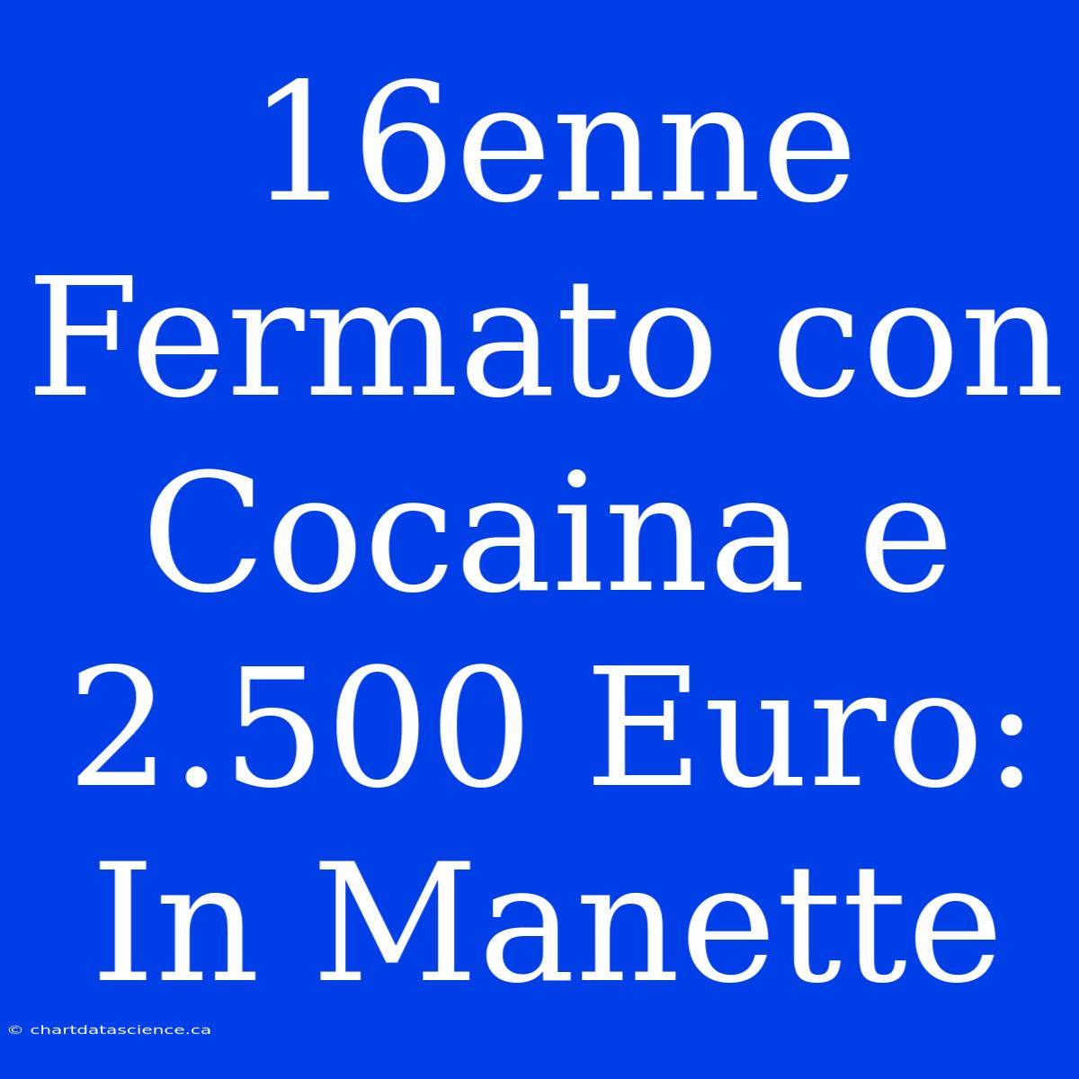 16enne Fermato Con Cocaina E 2.500 Euro: In Manette