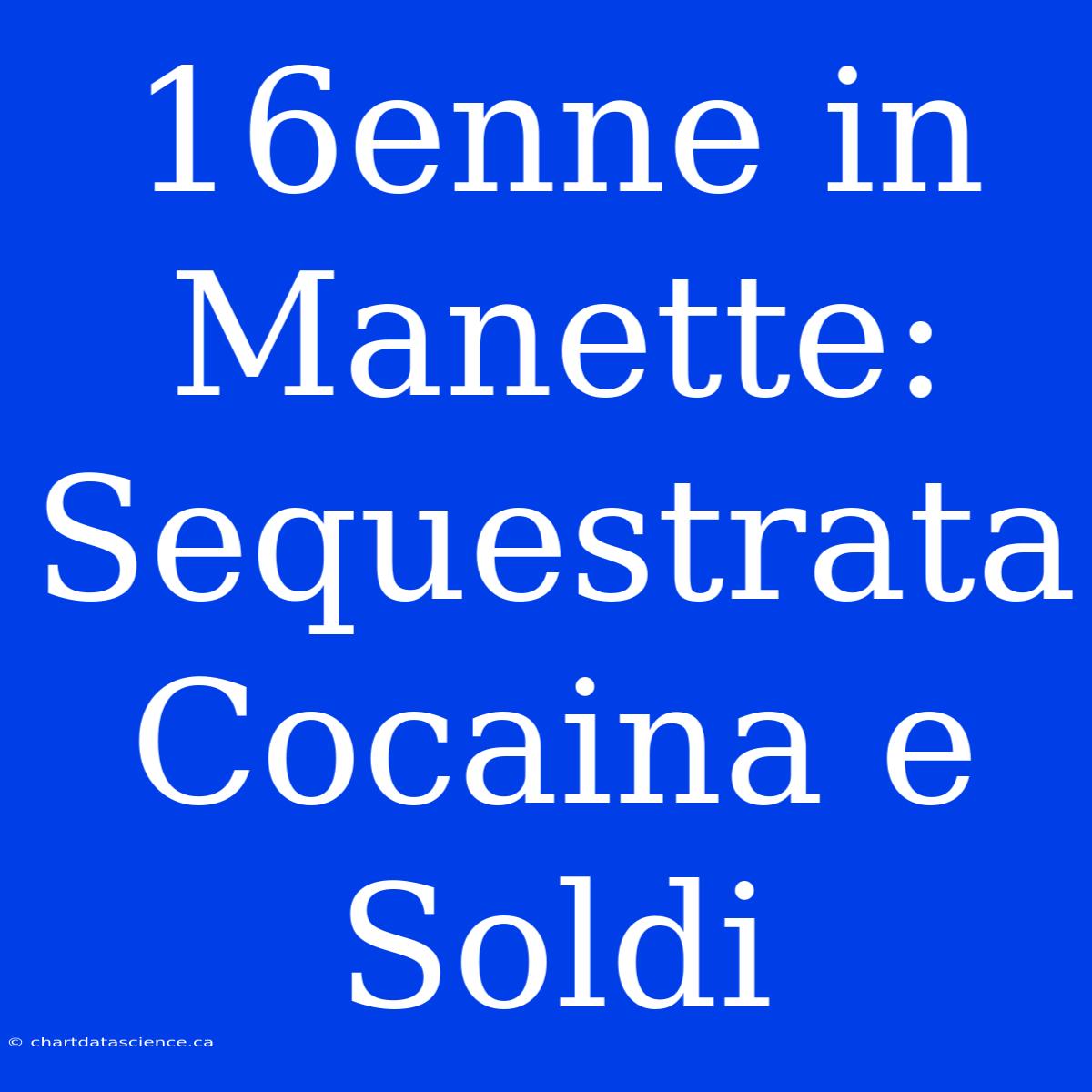 16enne In Manette: Sequestrata Cocaina E Soldi