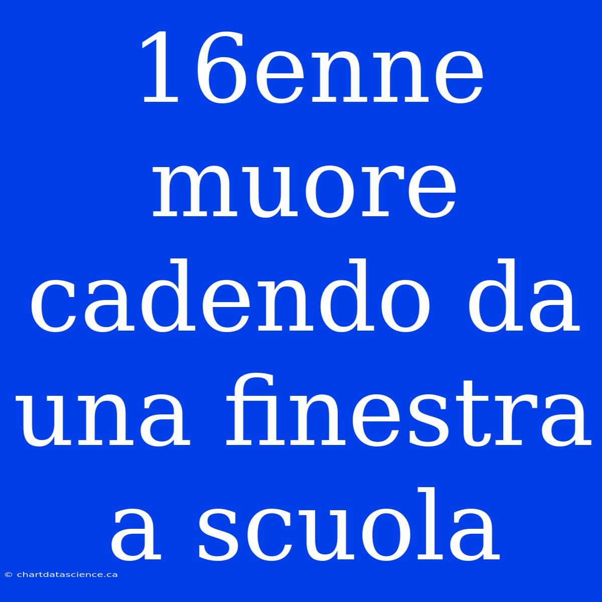 16enne Muore Cadendo Da Una Finestra A Scuola