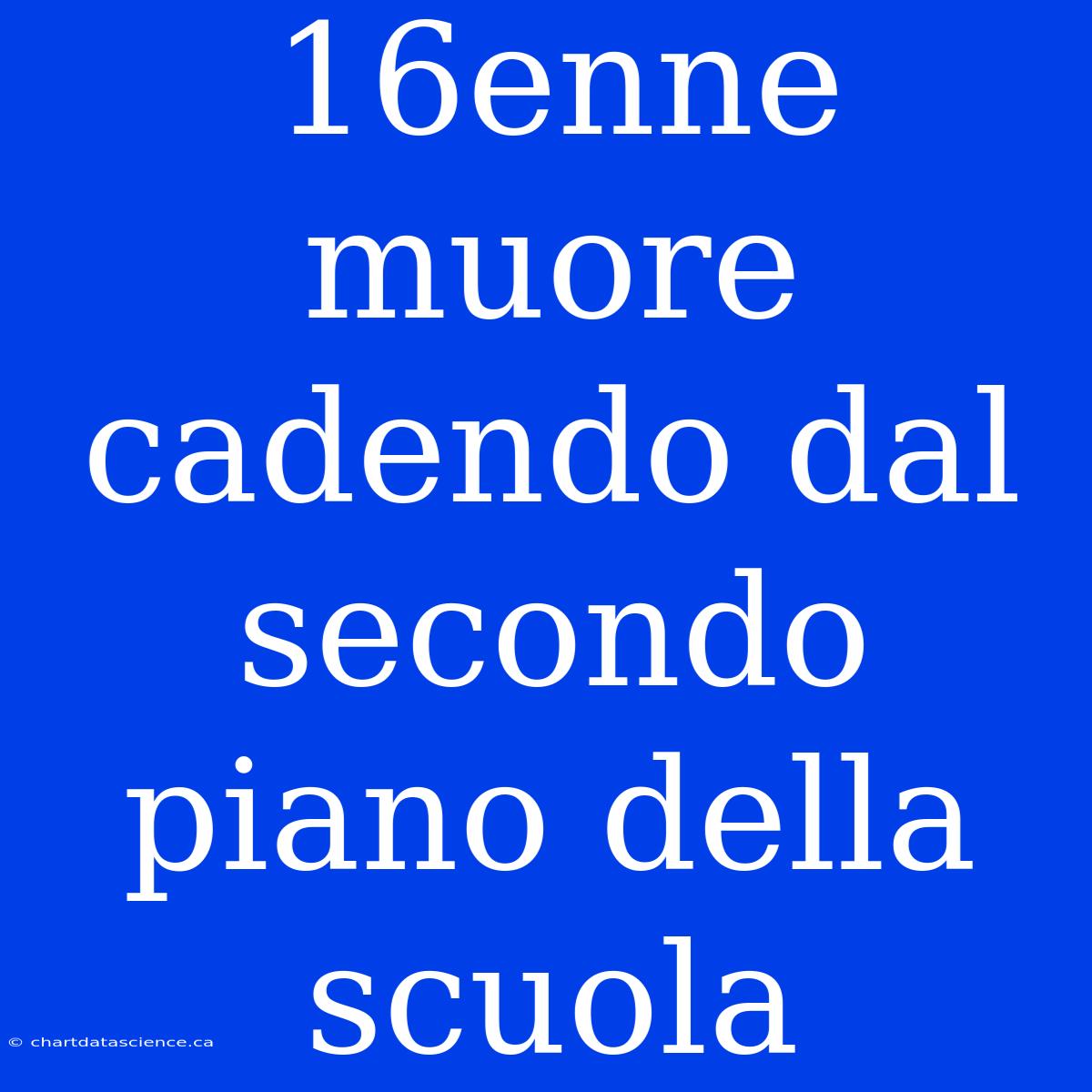 16enne Muore Cadendo Dal Secondo Piano Della Scuola