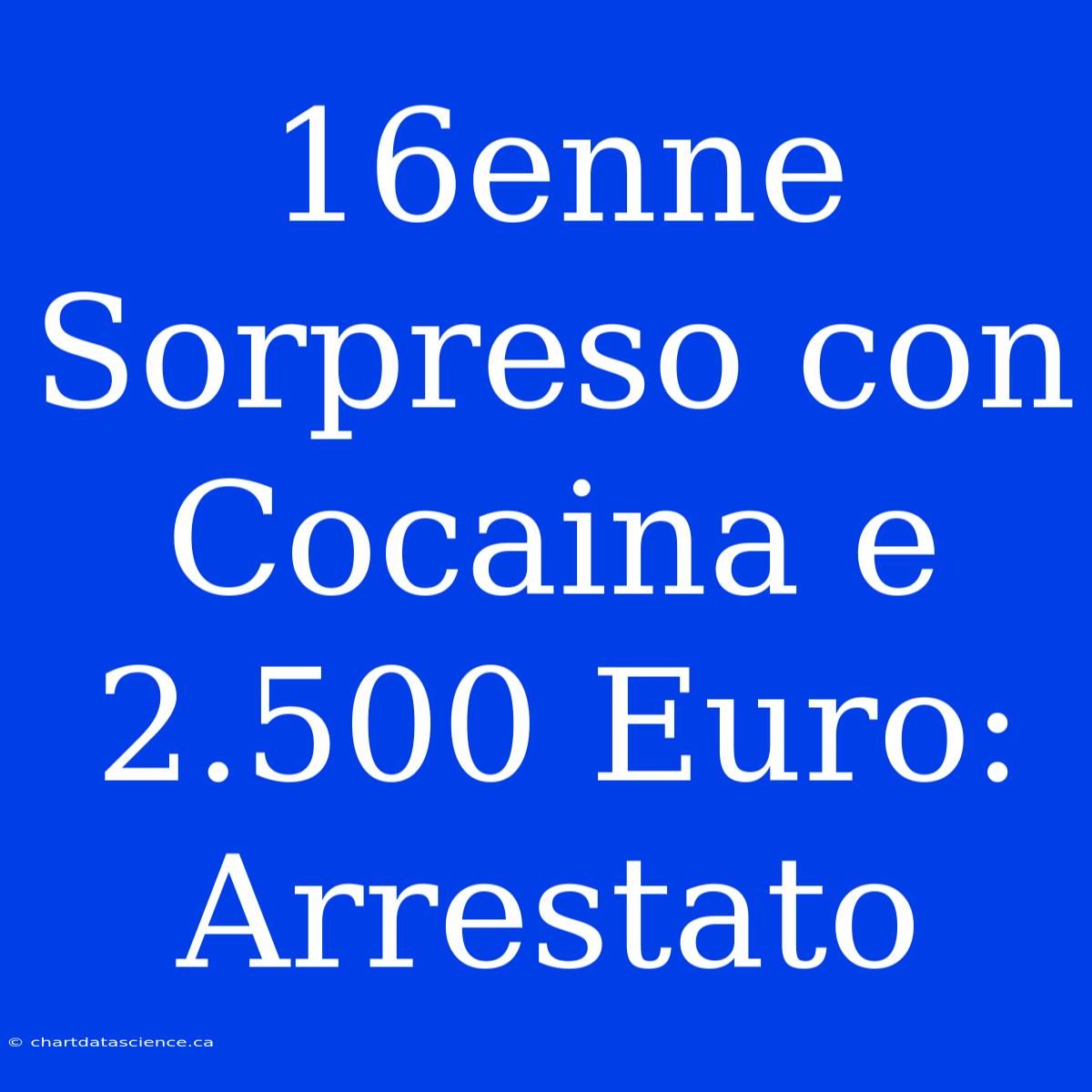 16enne Sorpreso Con Cocaina E 2.500 Euro: Arrestato