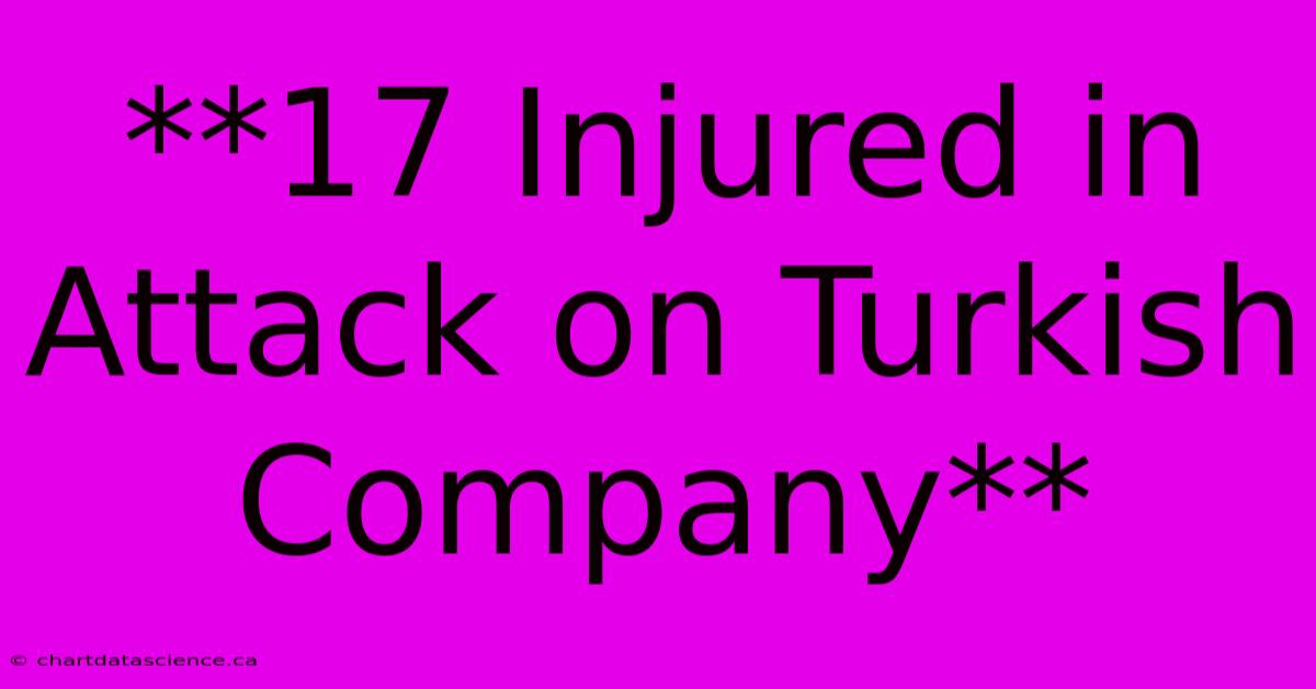 **17 Injured In Attack On Turkish Company** 