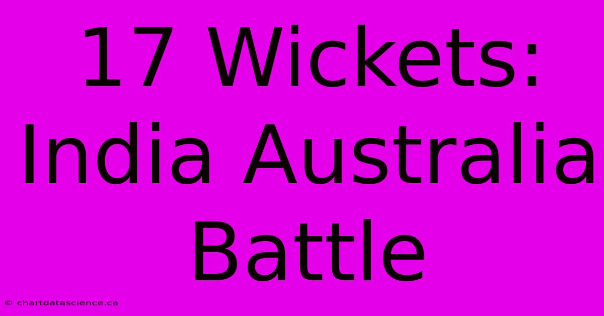 17 Wickets: India Australia Battle