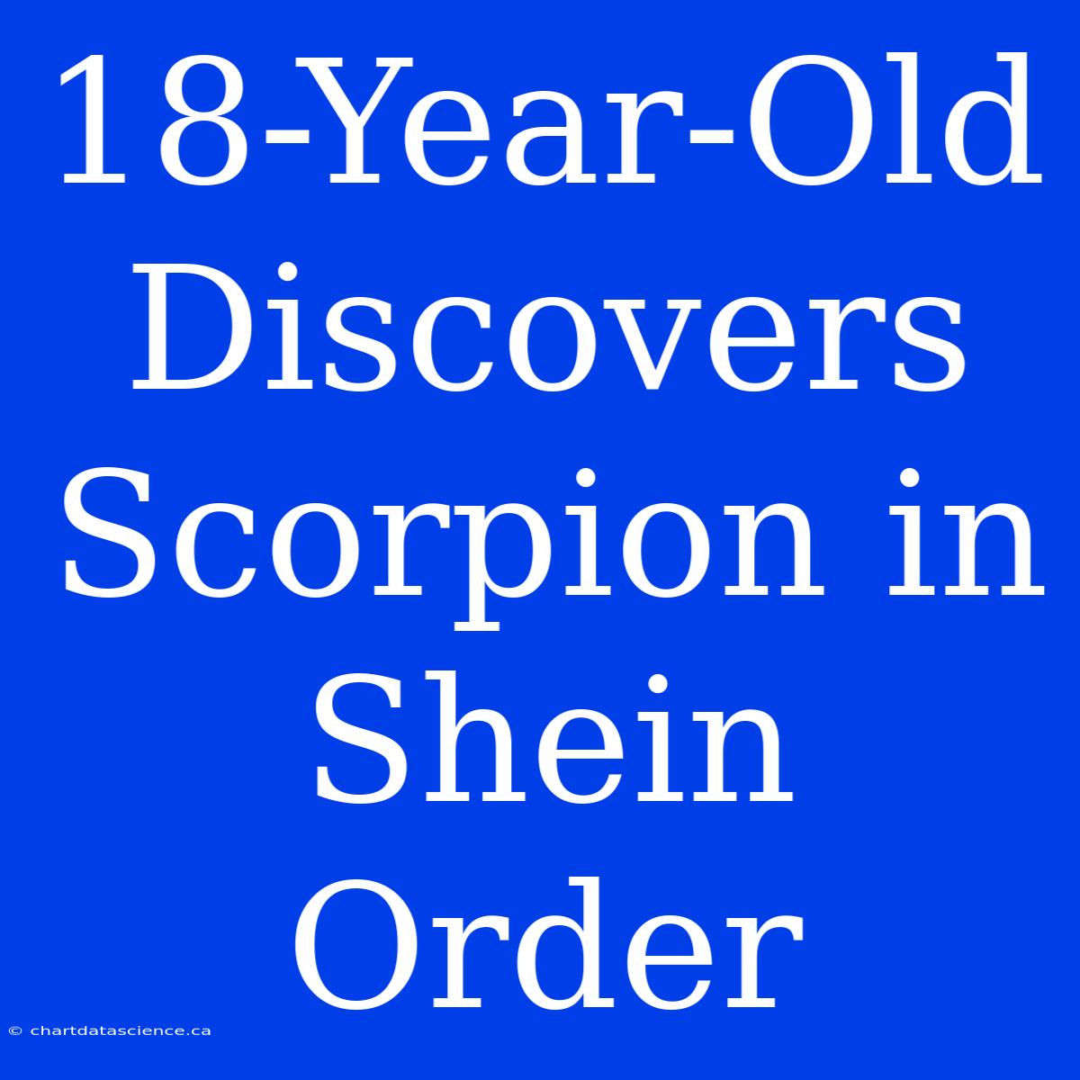 18-Year-Old Discovers Scorpion In Shein Order