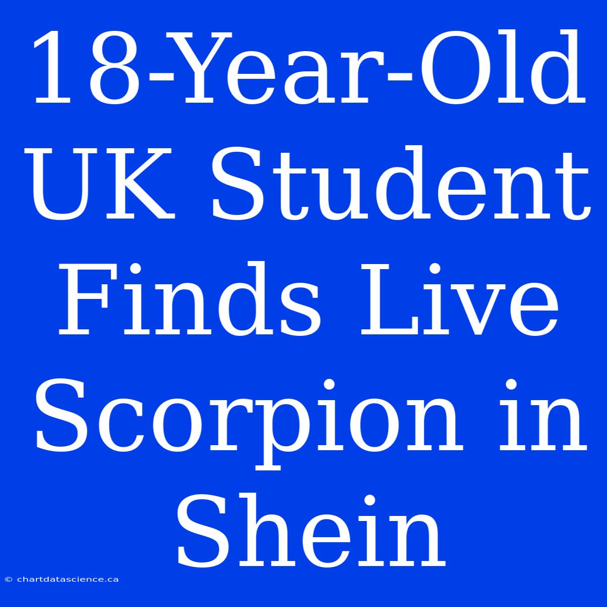 18-Year-Old UK Student Finds Live Scorpion In Shein