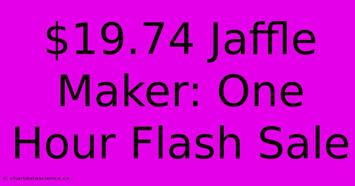 $19.74 Jaffle Maker: One Hour Flash Sale 