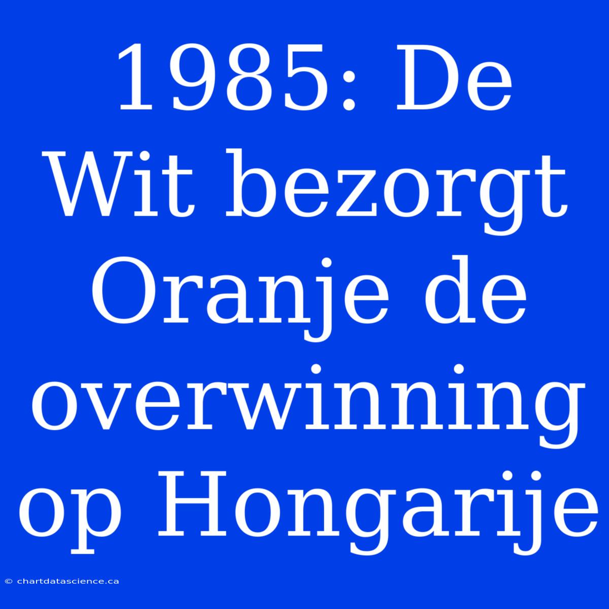 1985: De Wit Bezorgt Oranje De Overwinning Op Hongarije