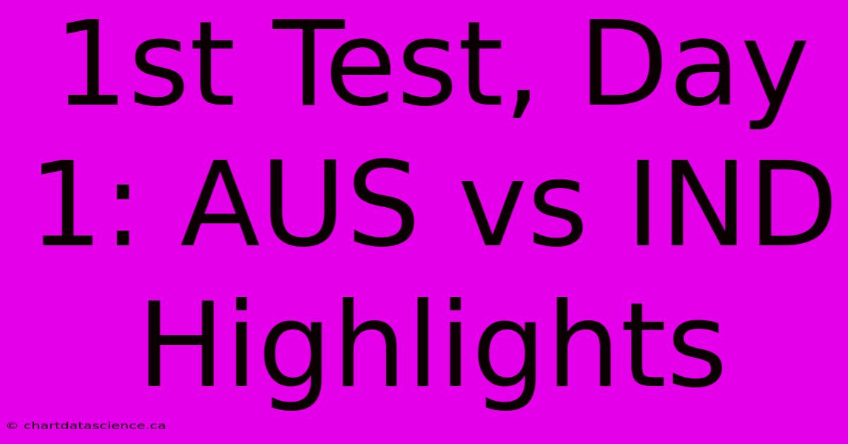 1st Test, Day 1: AUS Vs IND Highlights