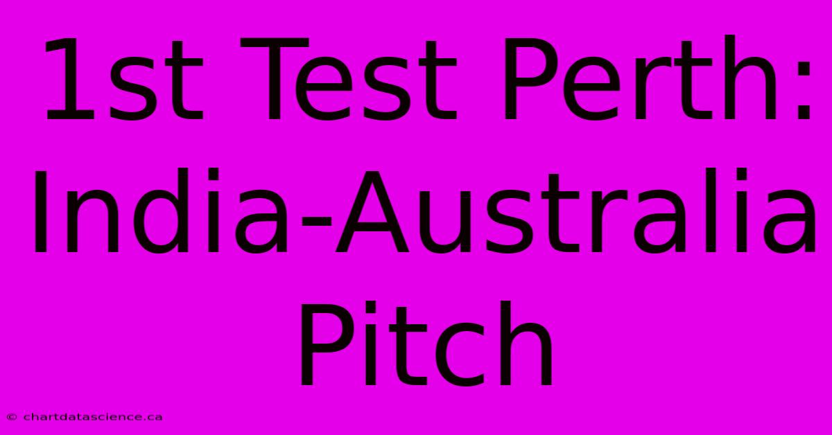 1st Test Perth: India-Australia Pitch