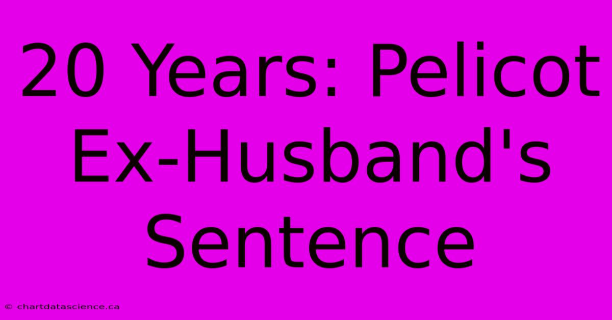 20 Years: Pelicot Ex-Husband's Sentence