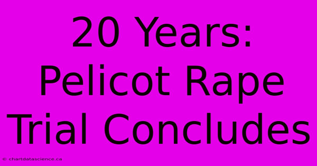 20 Years: Pelicot Rape Trial Concludes