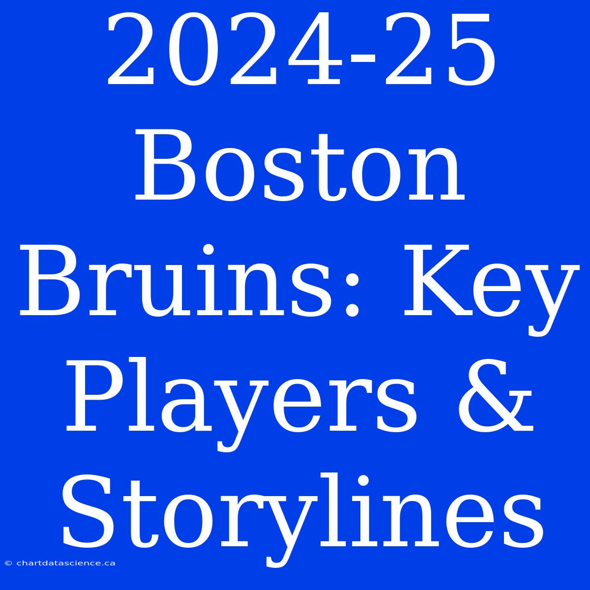 2024-25 Boston Bruins: Key Players & Storylines