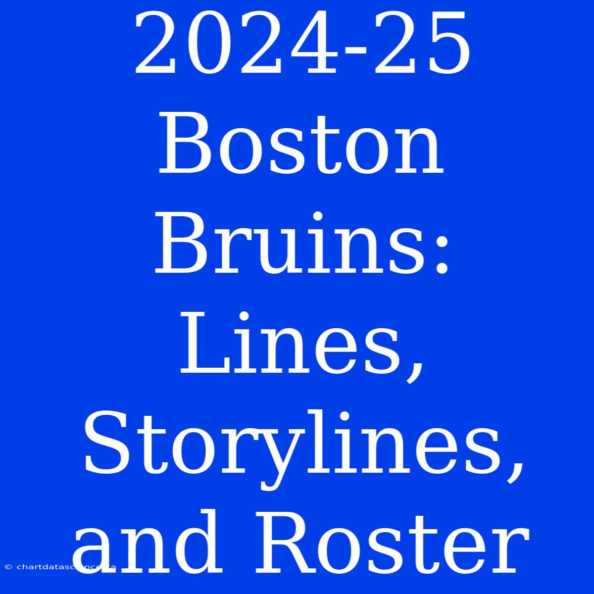 2024-25 Boston Bruins:  Lines, Storylines, And Roster