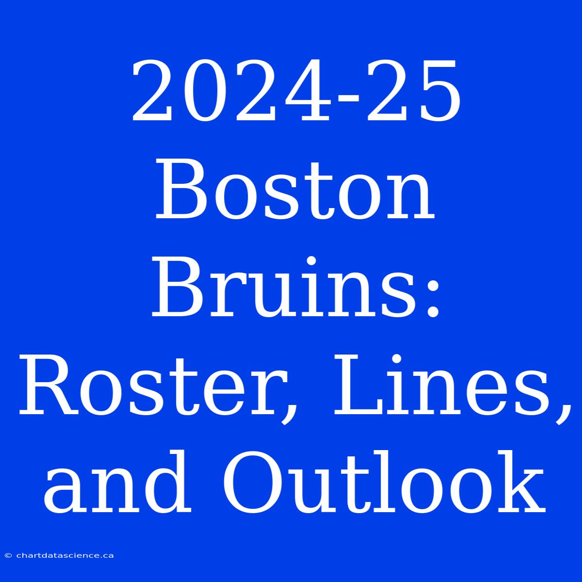 2024-25 Boston Bruins: Roster, Lines, And Outlook