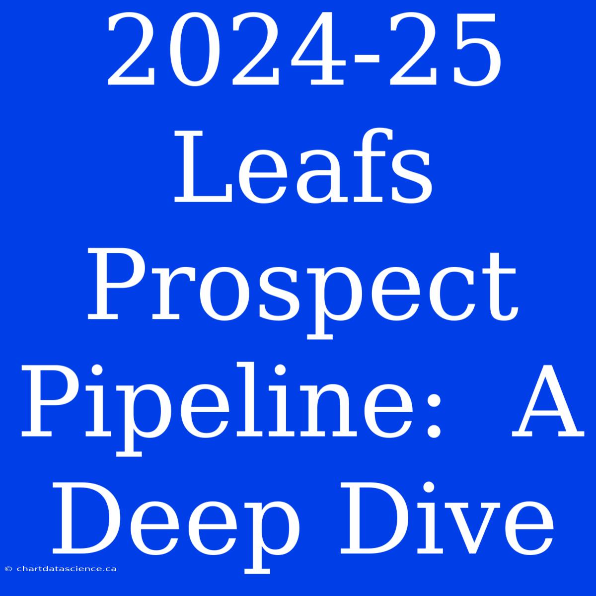 2024-25 Leafs Prospect Pipeline:  A Deep Dive