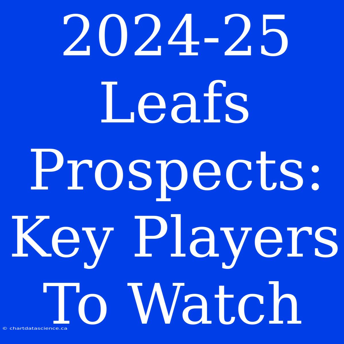 2024-25 Leafs Prospects:  Key Players To Watch