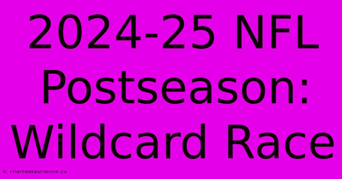 2024-25 NFL Postseason: Wildcard Race