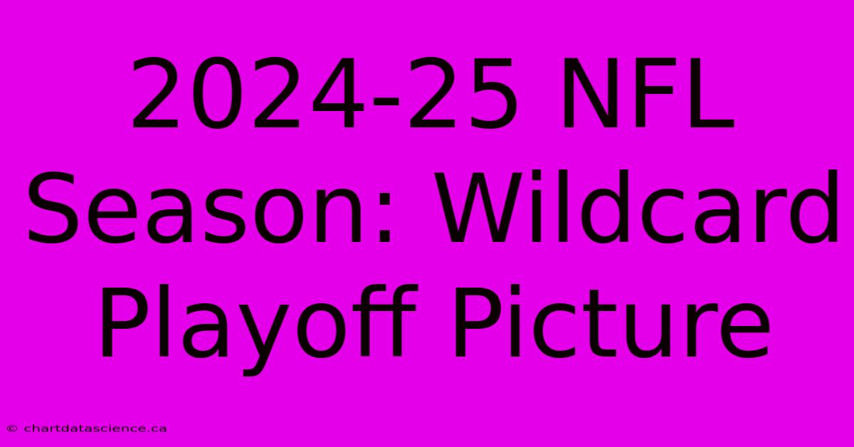 2024-25 NFL Season: Wildcard Playoff Picture