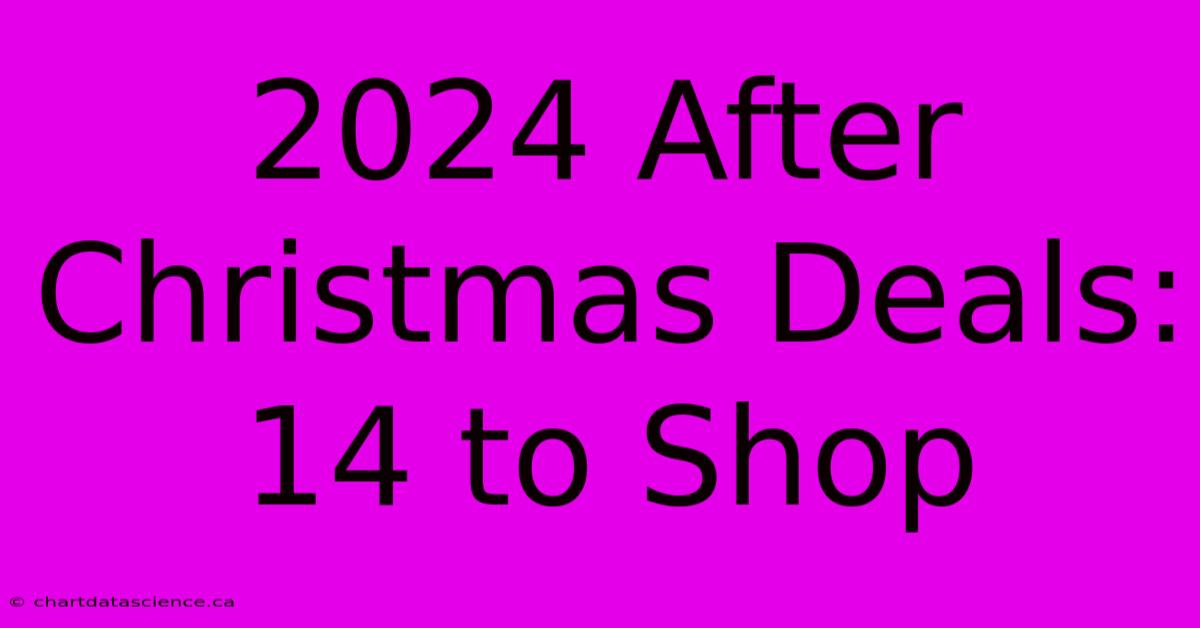 2024 After Christmas Deals: 14 To Shop