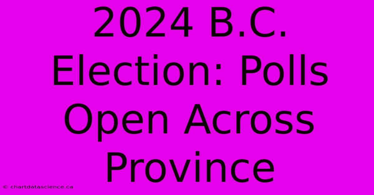 2024 B.C. Election: Polls Open Across Province