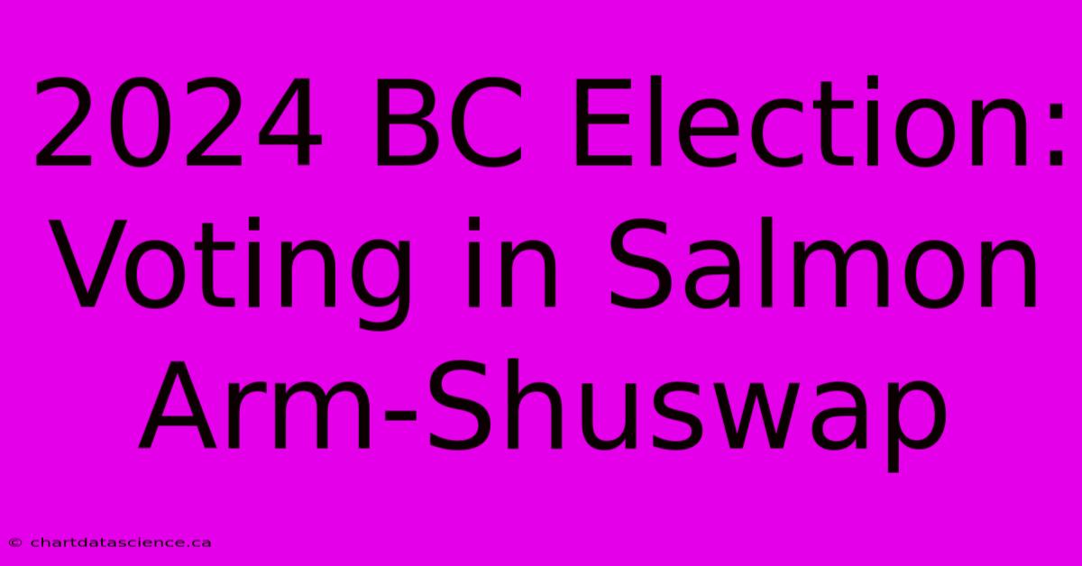 2024 BC Election: Voting In Salmon Arm-Shuswap