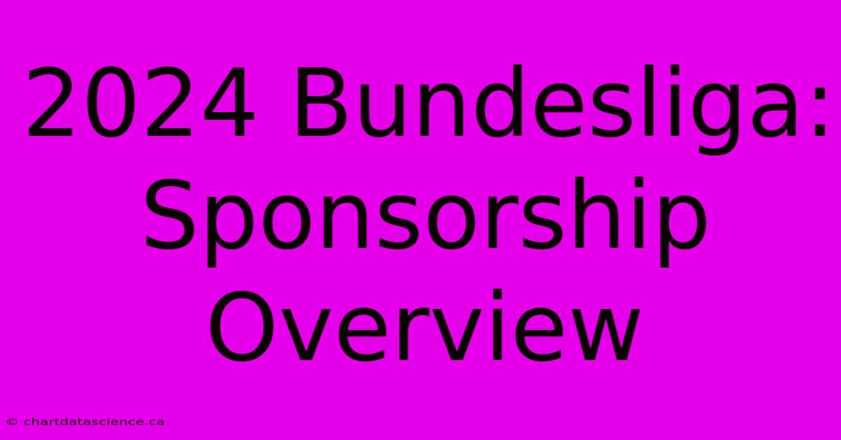 2024 Bundesliga: Sponsorship Overview