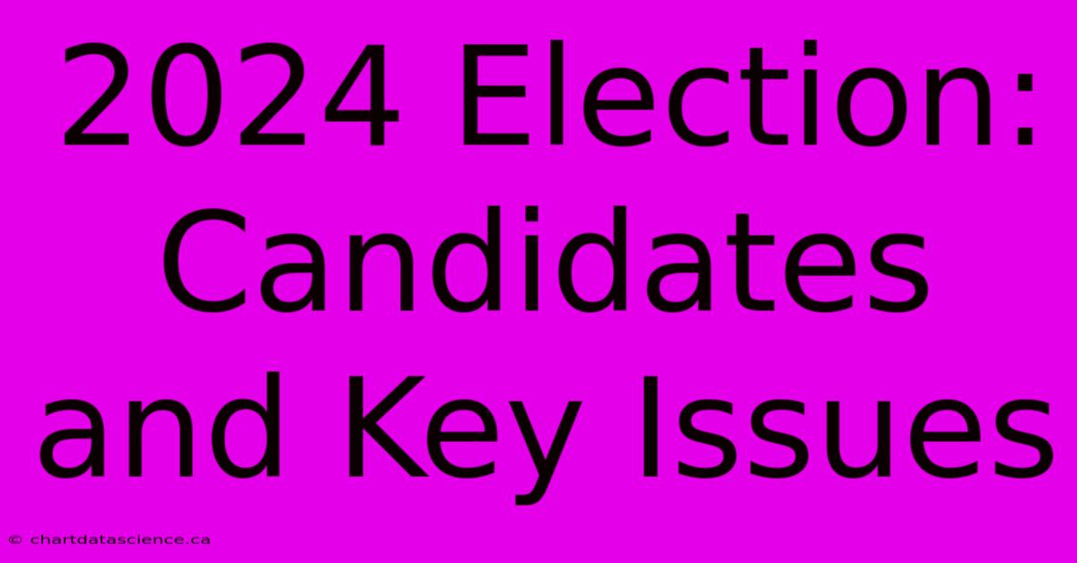 2024 Election: Candidates And Key Issues 